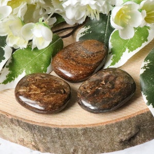 Bronzite Pocket Stone - Palm Stone - Hand Stone Cabochon Natural Polished Crystal Gemstone Cuddle Tumbled Healing Slab Worry Rock Gem Flat