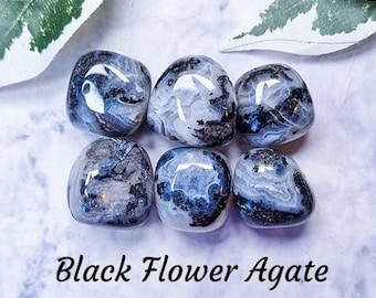 Black Flower Agate Crystal - Tumbled Stone Polished Gemstone / Personal Growth Stability Healing / Mineral Rock Gem Polished Smooth Tumble