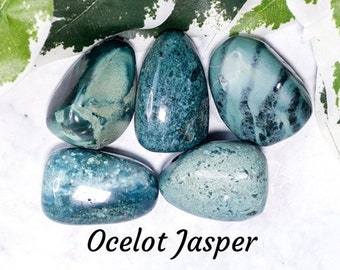 May include: Five smooth, green and white Ocelot Jasper tumbled stones. The stones are arranged in a circle on a white surface. The text "Ocelot Jasper" is written below the stones.
