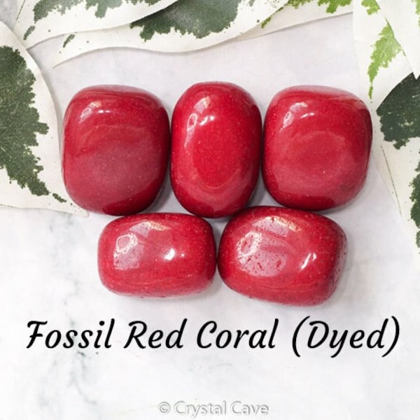 Agatized Fossil Red Coral Dyed Crystal Tumbled Stone Polished Gemstone / Antiquity Past Lives Calmness Smooth Pebble Rock Agate Indonesia