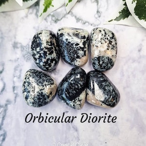 Orbicular Diorite Crystal - Tumbled Stone Polished Gemstone / Resilience • Inner Strength • Calmness / Orbiculite Circular Granite Australia