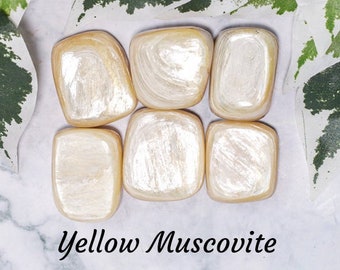 Yellow Muscovite Crystal - Tumbled Stone Polished Gemstone / Confidence Willpower Learning / Crown Chakra Aries Golden Gold Mica Brazil