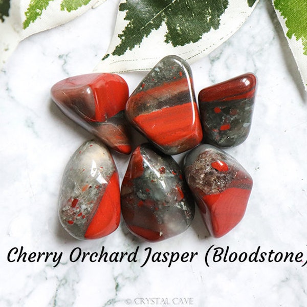 Cherry Orchard Jasper Bloodstone Crystal - Tumbled Stone Polished Stone Gemstone / Vulcan Volcanic Volcano Jasper Seftonite South Africa