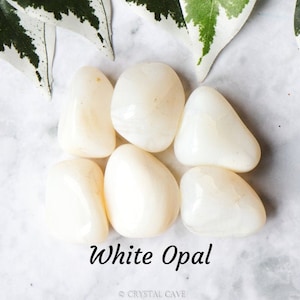 May include: A collection of six white opal tumbled stones. The stones are smooth and polished, with a milky white color. White opal is a popular crystal for its calming and soothing energy.
