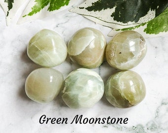 Green Moonstone Garnierite Crystal - Tumbled Stone Polished  Gemstone / Femininity Fertility Nature / Virgo Gift Heart Chakra Madagaskar