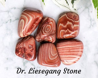 Dr. Liesegang Stone Crystal - Tumbled Stone Polished Gemstone / Free Spirit Clarity Hope Root Chakra Gift Bruneau Aztec Rhyolite America USA