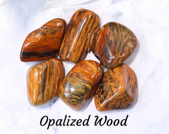 May include: A group of six tumbled opalised wood stones in shades of brown, orange, and yellow. The stones have a striated pattern and a glossy finish.