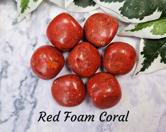 Red Foam Coral Fossil Crystal Tumbled Stone Polished Gemstone / Resilience Life Force Safety / Agatized Fossil Coral Pebble Rock Indonesia
