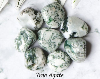 Tree Agate Crystal - Tumbled Stone Polished Gemstone / Nature Plant Kingdom Cycles / Zodiac Taurus Heart Chakra Gem Mineral Tumble India