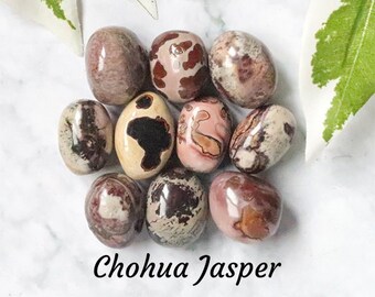 May include: A collection of ten tumbled Chohua Jasper stones. The stones are a mix of brown, cream, and pink with unique patterns.