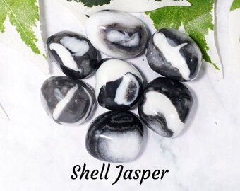 Shell Jasper Crystal - Tumbled Stone Polished Gemstone / Grounding Protection Reinforcement / Smooth Pebble Round Pebble Marble Fossil Sea