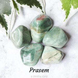 May include: Five green and white Prasem tumbled stones on a white background. The stones are smooth and polished.