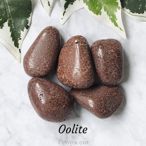 Oolite Crystal Tumbled Stone Polished Gemstone / Enlightenment Rest Stabilization Pebble Oolitic Limestone Smooth Margaritha Rye Stone China