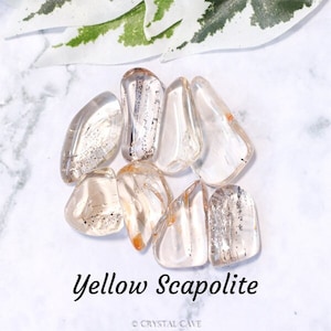 Yellow Scapolite Crystal - Tumbled Stone Polished Gemstone / Prosperity • Goals • Progress / Smooth Pebble Rock Gem Mineral Zimbabwe Africa