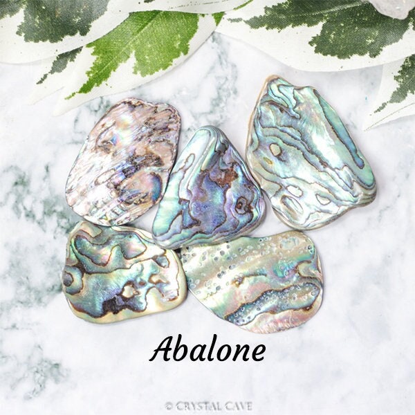 Abalone Shell - Pearl Ocean Sea Smudge / Water • Softness • Beauty / Smooth Pebble Round Crystal Tumbled Stone Polished Gemstone Smudging