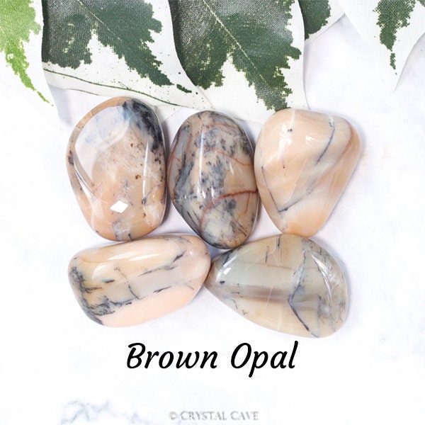 Brown Opal Crystal - Tumbled Stone Polished Gemstone / Sensuality Vision Liberation / Natural Smooth Pebble Round Rock Chocolate Madagascar