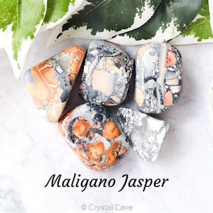 May include: Five tumbled stones of Maligano Jasper. The stones are a mix of white, gray, black, and orange. The stones are on a white background with green leaves.
