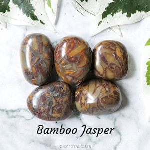 May include: Six tumbled stones of bamboo jasper, a brown and yellow patterned stone. The stones are smooth and polished, with a natural, organic look.