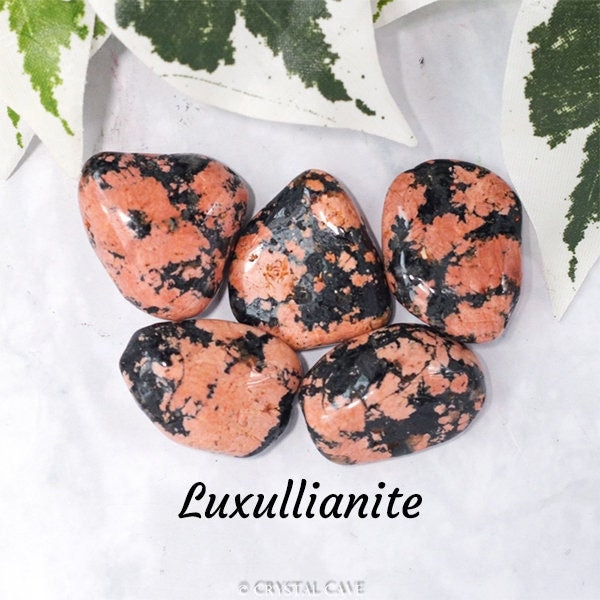 Luxullianite Crystal - Tumbled Stone Polished Gemstone / Positivity Grounding Diplomatic / Smooth Pebble Round Granite Quartz Rock England