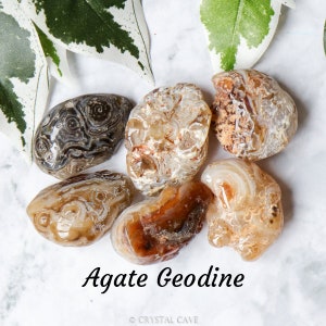 Puede incluir: Una colección de seis geodas de ágata en varios tonos de marrón, blanco y gris. Las geodas tienen una textura natural y rugosa y muestran intrincados patrones de bandas y remolinos.