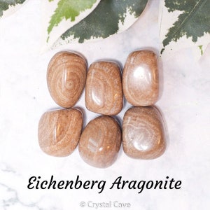 May include: Six tumbled Eichenberg Aragonite stones, each with a unique brown and white banded pattern. The stones are smooth and polished, with a natural, earthy look.