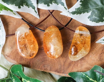 Puede incluir: Tres piedras de cornalina naranja sobre una superficie de madera marrón con hojas verdes. Las piedras son lisas y pulidas, y están enhebradas en un cordón marrón.