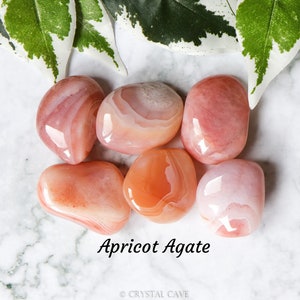 Può includere: Un gruppo di sei pietre di agata albicocca lisce e levigate con una varietà di tonalità rosa e arancioni. Le pietre sono disposte su una superficie di marmo bianco con foglie verdi sullo sfondo. Il testo "Apricot Agate" è scritto sotto le pietre.