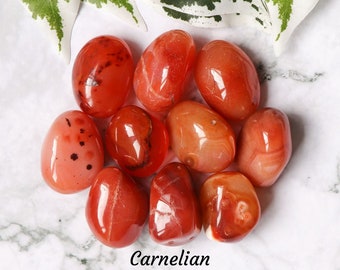 Carnelian Crystal - Tumbled Stone Polished Gemstone / Energizing Activating Vitalizing / Sacral Chakra Zodiac Aries Leo Orange Tumble India