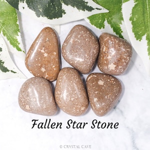 May include: A collection of six brown and white fallen star stones. The stones are smooth and have a speckled appearance. The text "Fallen Star Stone" is written below the stones.