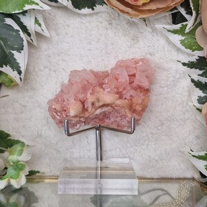 Pink Halite Cluster USA / Adjustable Display Stand Geode Gemstone Interior Crystal Decoration Specimen  Museum Mineral California Mojave