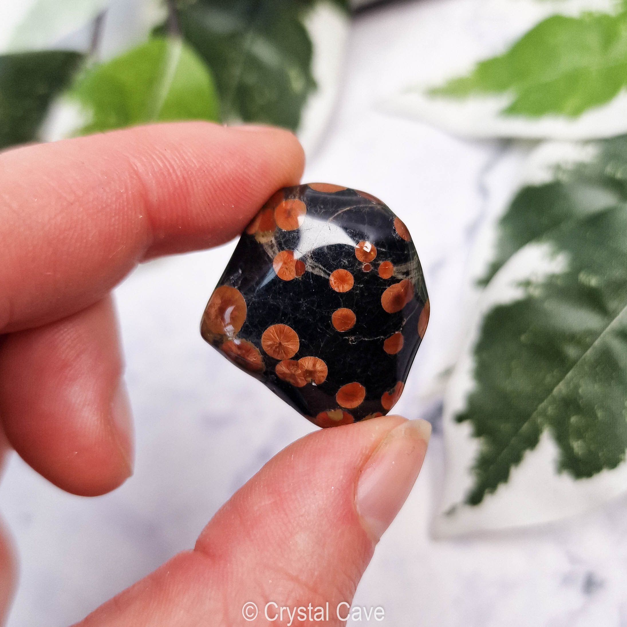 Black Peanut Obsidian Crystal - Tumbled Stone Polished