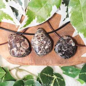 Turritella Agate Polished Necklace Pendant - Drilled Stone Jewelery Smooth Shape Bead Healing - Gemstone Previous Lives Plants Pregnancy