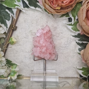 Pink Halite Cluster USA / Adjustable Display Stand Geode Gemstone Interior Crystal Decoration Specimen  Museum Mineral California Mojave