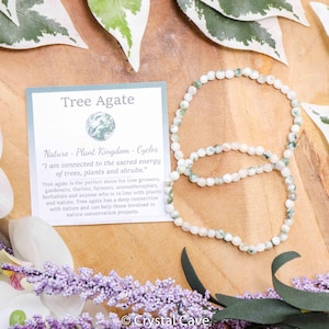Könnte beinhalten: Ein weißes und grünes Baum-Achat-Armband mit einer Karte, auf der "Tree Agate" und "Nature - Plant Kingdom - Cycles" steht, sowie eine Beschreibung der Eigenschaften und Verwendung des Steins.