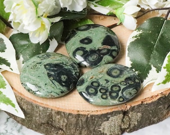 Kambaba Jasper Pocket Stone - Palm Stone - Hand Stone - Cabochon Natural Polished Crystal Gemstone Flat Cuddle Tumbled Gem Slab Worry Rock