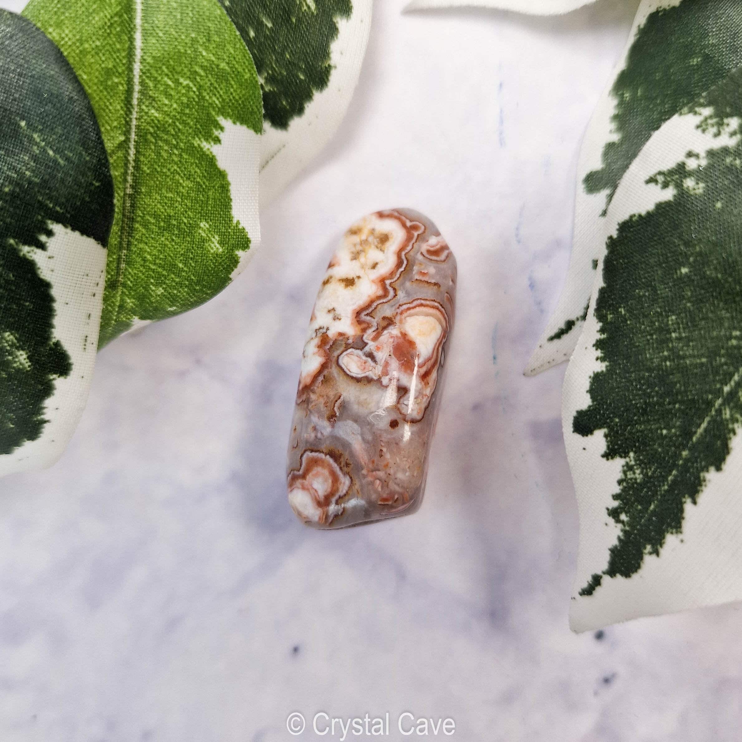 Buy Rosetta Jasper Crystal Tumbled Stone Polished Gemstone / Life