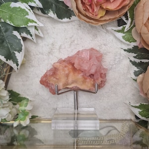 Pink Halite Cluster USA / Adjustable Display Stand Geode Gemstone Interior Crystal Decoration Specimen  Museum Mineral California Mojave