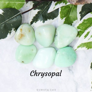 Könnte beinhalten: Eine Sammlung von sechs glatten, grünen und weißen Chrysopras-Trommelsteinen. Die Steine sind in einem Kreis auf einem weißen Hintergrund mit grünen Blättern angeordnet.