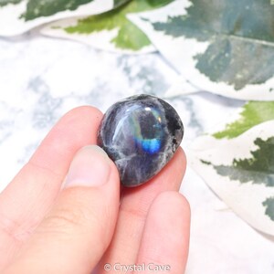 May include: A smooth, dark gray labradorite tumbled stone with iridescent blue and green flashes. The stone is being held in a hand.