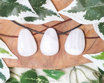 May include: Three polished, teardrop-shaped white stones with subtle veining are displayed on a wooden surface. Each stone is strung on a black cord. The arrangement is framed by green and white variegated leaves, creating a natural aesthetic.