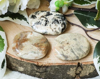 Silver Leaf Jasper Pocket Stone - Palm Stone - Hand Stone Cabochon Natural Polished Crystal Gemstone Flat Tumbled Healing Worry Rock Slab