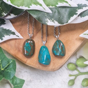 Parrot Wing Chrysocolla Pendant Necklace Sterling Silver 925 - Stamped Ring Raw Stone Crystal Jewelry Gemstone Gift for Her Him Women Men