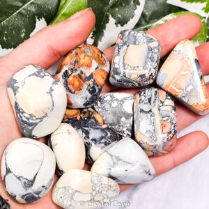 May include: A collection of tumbled ocean jasper stones in various shades of white, gray, and orange. The stones have a unique, marbled pattern and are smooth to the touch.