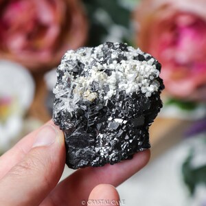 May include: Black Sphalerite crystal cluster with white Quartz crystals. The Sphalerite has a metallic luster and the Quartz crystals are clear and translucent.
