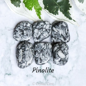 Könnte beinhalten: Sechs polierte Pinolith-Steine mit einem einzigartigen schwarz-weißen Muster. Die oval geformten Steine sind auf einer weißen Oberfläche angeordnet. Das Wort "Pinolith" ist in schwarzer Schrift geschrieben. Ein grün-weißes Blatt befindet sich im Hintergrund.