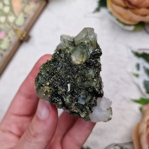 Forest Epidote Cluster Turkey / Adjustable Display Stand Geode Gemstone Interior Crystal Decoration Specimen Quartz Hakkari Moss Garden