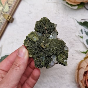 Forest Epidote Cluster Turkey / Adjustable Display Stand Geode Gemstone Interior Crystal Decoration Specimen Quartz Hakkari Moss Garden