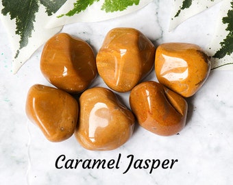Carmel Jasper!! Vintage Native American Navajo Sterling Silver Leaf Bracelet Cuff Carmel Jasper!! Vintage Native American Navajo Sterling Silver Leaf Bracelet Cuff