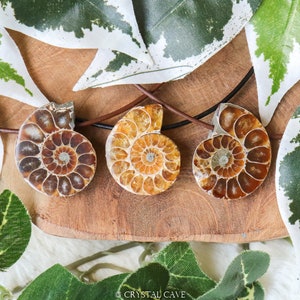 Half Ammonite Polished Necklace Pendant - Drilled Stone Jewelry - Bead Pierced Smooth Iridescent Opalized Fossil Health Prosperity Success