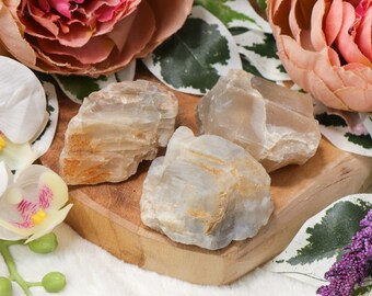 May include: Three raw, uncut moonstone crystals with a pale, translucent appearance and subtle golden veining. The stones rest on a small wooden board, surrounded by pink and white flowers and green foliage.